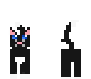black cat