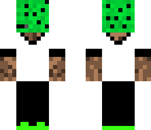 kiwi plays minecraft's skin