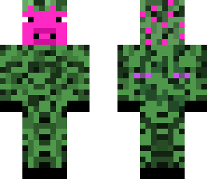 pig