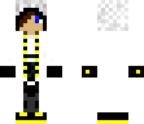 technic skin