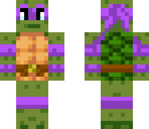 ninja turtle purple