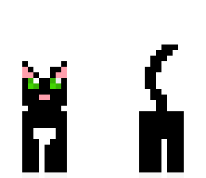 black cat