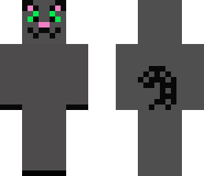 grey cat