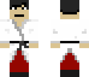 kung fu master