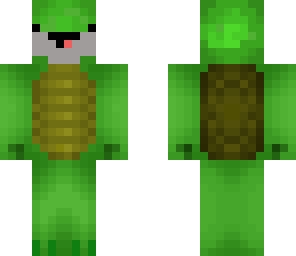 old turtle