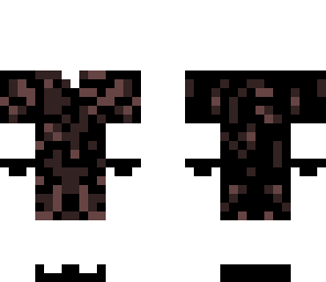 invisidude