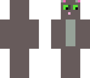my first animal cat