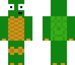 looking turtle