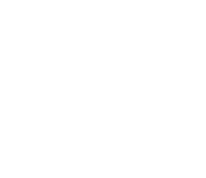 skeleten