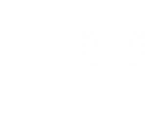 blank