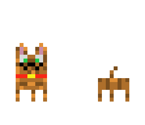 cute cat