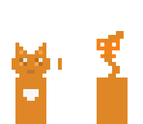 orange cat