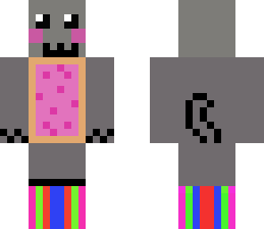 nates nyan cat