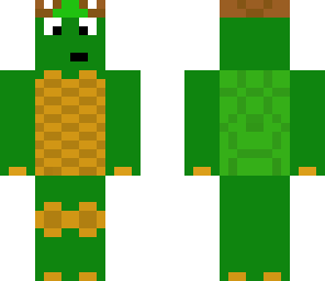 turtle with turtle on head