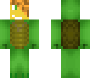 turtle kid