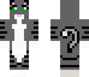 tabby grey cat