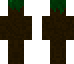 snow biome grass block