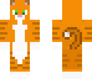 kitten