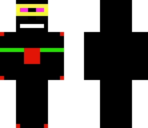 ender ninja