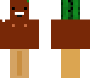 shirtless man with cactus hat