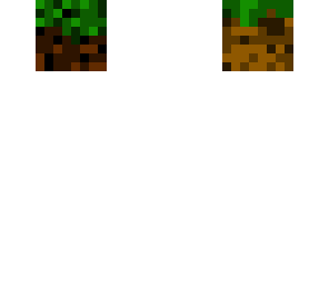 main minecraft block grass block