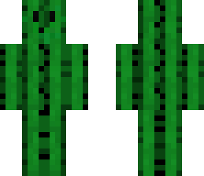 dj cactus