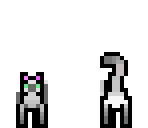 cat white