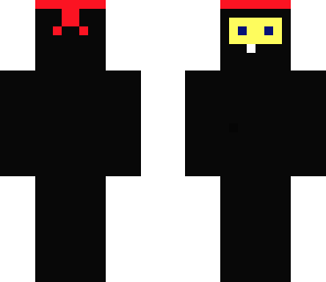 the ninja
