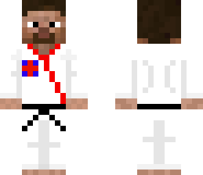 taekwondo steve