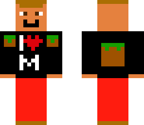 minecraft fan