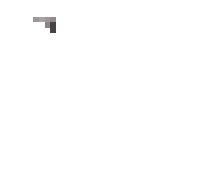 pistol
