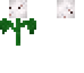 dandelion2