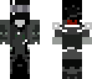 the secret ninja