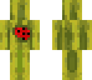just a watermelon