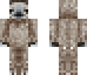 sloth