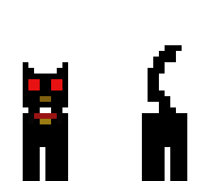 the cat
