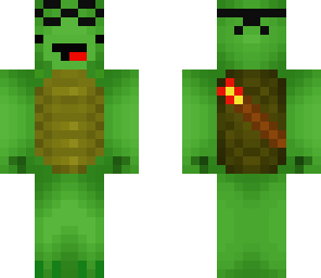science wizard turtle