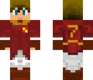 me in gryffindor quidditch team