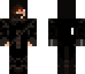 hidden assassin