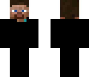 ninja steve