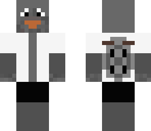 pigeon 