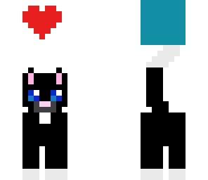 cat with love helmet