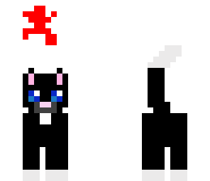 skin1