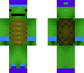 hip turtle