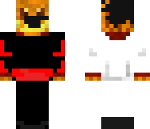 the black ninja