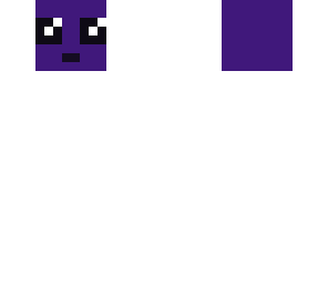 fly guy