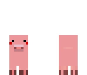 cute pig