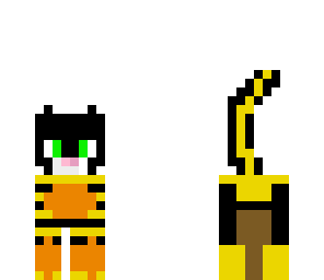 the wild cat