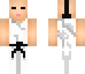 master karate