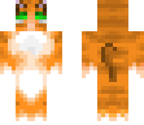 orange cat